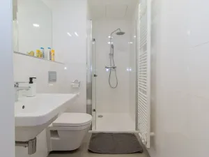 Pronájem bytu 2+kk, Praha - Vinohrady, Perucká, 40 m2