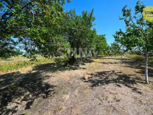 Prodej zahrady, Kunovice, 454 m2