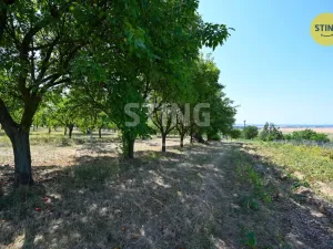 Prodej zahrady, Kunovice, 454 m2