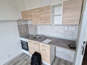 Pronájem bytu 1+1, Chomutov, Dřínovská, 37 m2