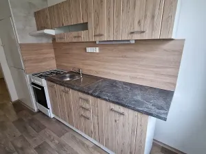 Pronájem bytu 4+1, Ústí nad Labem, Dr. Horákové, 88 m2