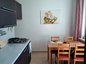 Pronájem bytu 2+1, Karlovy Vary, Lomená, 60 m2