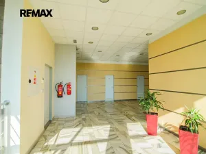 Pronájem obchodního prostoru, Svitavy, Svitavská, 80 m2