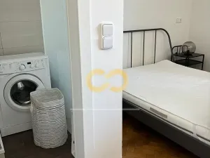 Pronájem bytu 1+kk, Praha - Žižkov, Přemyslovská, 26 m2