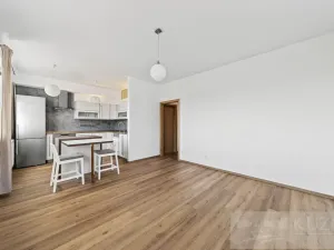 Prodej bytu 2+kk, Plzeň - Jižní Předměstí, U Radbuzy, 57 m2