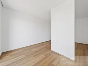 Prodej bytu 2+kk, Plzeň - Jižní Předměstí, U Radbuzy, 57 m2
