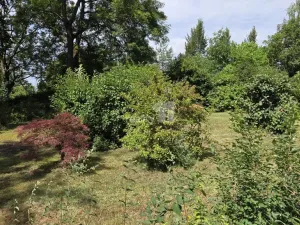 Prodej rodinného domu, Chodov, Husova, 2336 m2