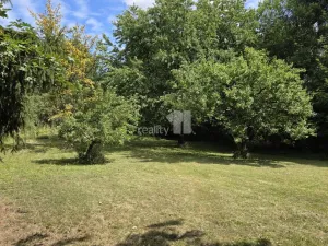 Prodej rodinného domu, Chodov, Husova, 2336 m2