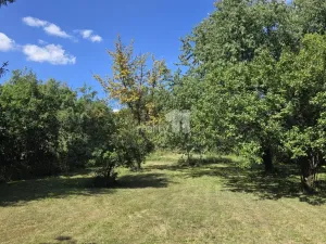 Prodej rodinného domu, Chodov, Husova, 2336 m2