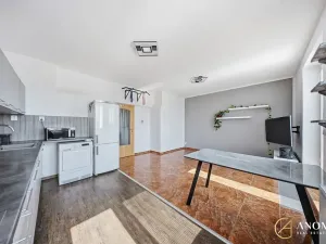 Pronájem bytu 2+kk, Brno, Ryšánkova, 56 m2