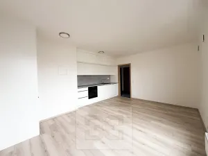 Pronájem bytu 2+kk, Praha - Kamýk, Hodkovická, 45 m2