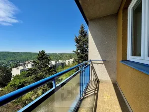 Prodej bytu 2+1, Brno, Rezkova, 61 m2
