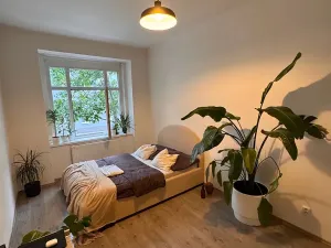 Pronájem bytu 2+kk, Praha - Žižkov, Hartigova, 50 m2