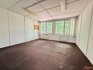 Pronájem skladu, Praha - Sedlec, Přerušená, 115 m2
