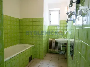 Prodej vícegeneračního domu, Střížov, 252 m2