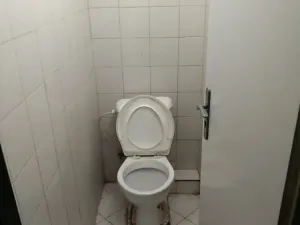 Prodej komerční nemovitosti, Praha - Karlín, Lyčkovo náměstí, 150 m2