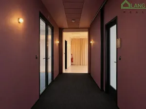 Pronájem kanceláře, Brno, Dominikánské náměstí, 380 m2