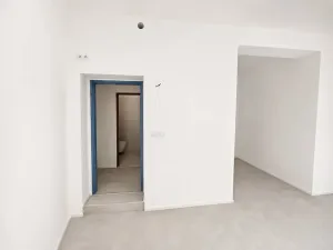 Prodej bytu 1+kk, Brno, Cejl, 60 m2