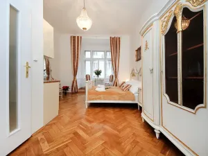 Pronájem bytu 1+kk, Praha - Nové Město, Vodičkova, 25 m2