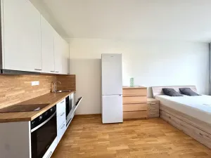 Pronájem bytu 1+kk, Praha - Vysočany, Kolbenova, 36 m2