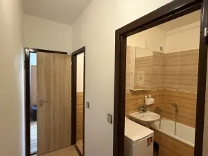 Pronájem bytu 3+1, Olomouc - Nové Sady, Fischerova, 67 m2