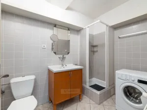 Prodej bytu 2+kk, České Budějovice - České Budějovice 3, Riegrova, 46 m2