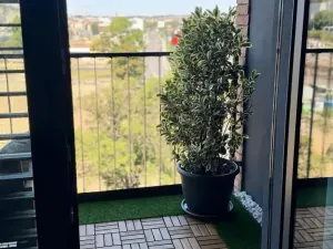 Pronájem bytu 2+kk, Praha - Smíchov, U Lihovaru, 48 m2