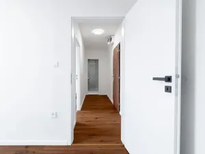 Pronájem bytu 2+1, Olomouc, Družební, 44 m2