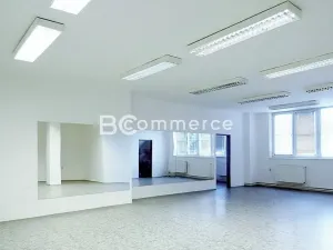 Pronájem kanceláře, Brno, 90 m2