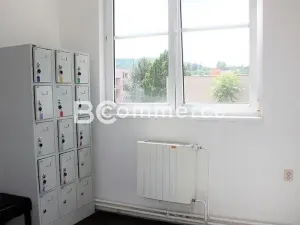 Pronájem kanceláře, Brno, 90 m2