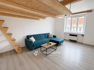 Pronájem bytu 1+1, Znojmo, Loucká, 40 m2