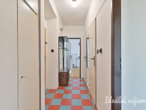 Pronájem bytu 2+1, Brno, Úvoz, 56 m2