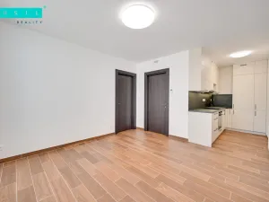 Pronájem bytu 2+kk, Olomouc - Nová Ulice, Třída Jiřího Pelikána, 44 m2