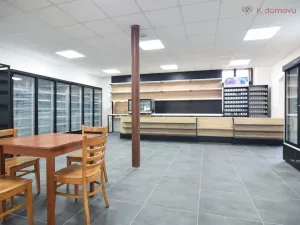 Prodej rodinného domu, Olomouc - Holice, Keplerova, 480 m2