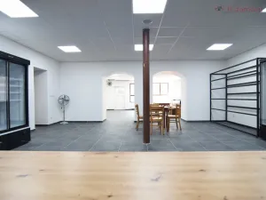 Pronájem obchodního prostoru, Olomouc - Holice, Keplerova, 162 m2