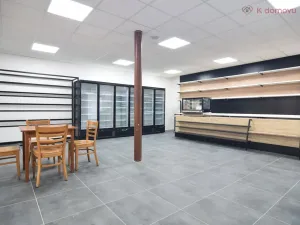 Pronájem obchodního prostoru, Olomouc - Holice, Keplerova, 162 m2