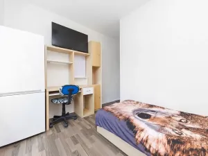 Prodej bytu 3+kk, Boskovice, Otakara Chlupa, 61 m2