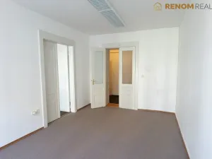Pronájem bytu 2+1, Olomouc, Krapkova, 81 m2