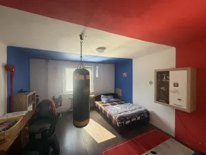 Prodej rodinného domu, Nové Hrady - Byňov, 160 m2