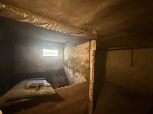 Prodej rodinného domu, Nové Hrady - Byňov, 160 m2