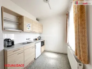 Pronájem skladu, Brno - Brno-město, Benešova, 120 m2