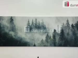 Prodej bytu 2+kk, Abertamy, Pražská, 48 m2