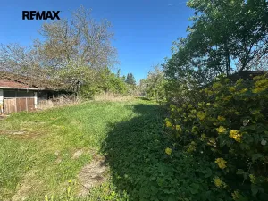Prodej rodinného domu, Kralovice, Na Palcátech, 220 m2