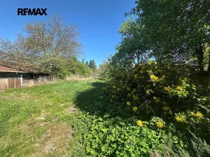 Prodej rodinného domu, Kralovice, Na Palcátech, 220 m2