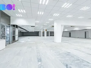 Pronájem skladu, Opava, Ratibořská, 2029 m2