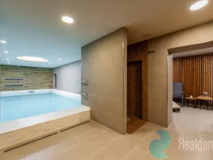 Prodej apartmánu, Sepekov, 953 m2