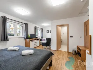 Prodej apartmánu, Sepekov, 953 m2
