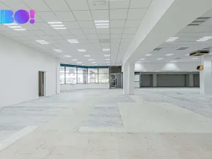 Pronájem obchodního prostoru, Opava, Ratibořská, 2029 m2