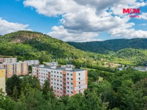 Prodej bytu 1+1, Ústí nad Labem, Peškova, 38 m2