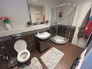 Pronájem rodinného domu, Praha - Březiněves, V pěšinkách, 200 m2
